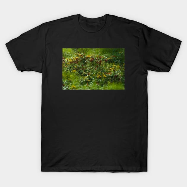 Luscious Morning Dew On Green Grass T-Shirt by textural